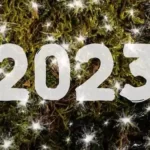 2023 Year End Book Review
