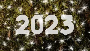 Read more about the article 2023 Year End Book Review